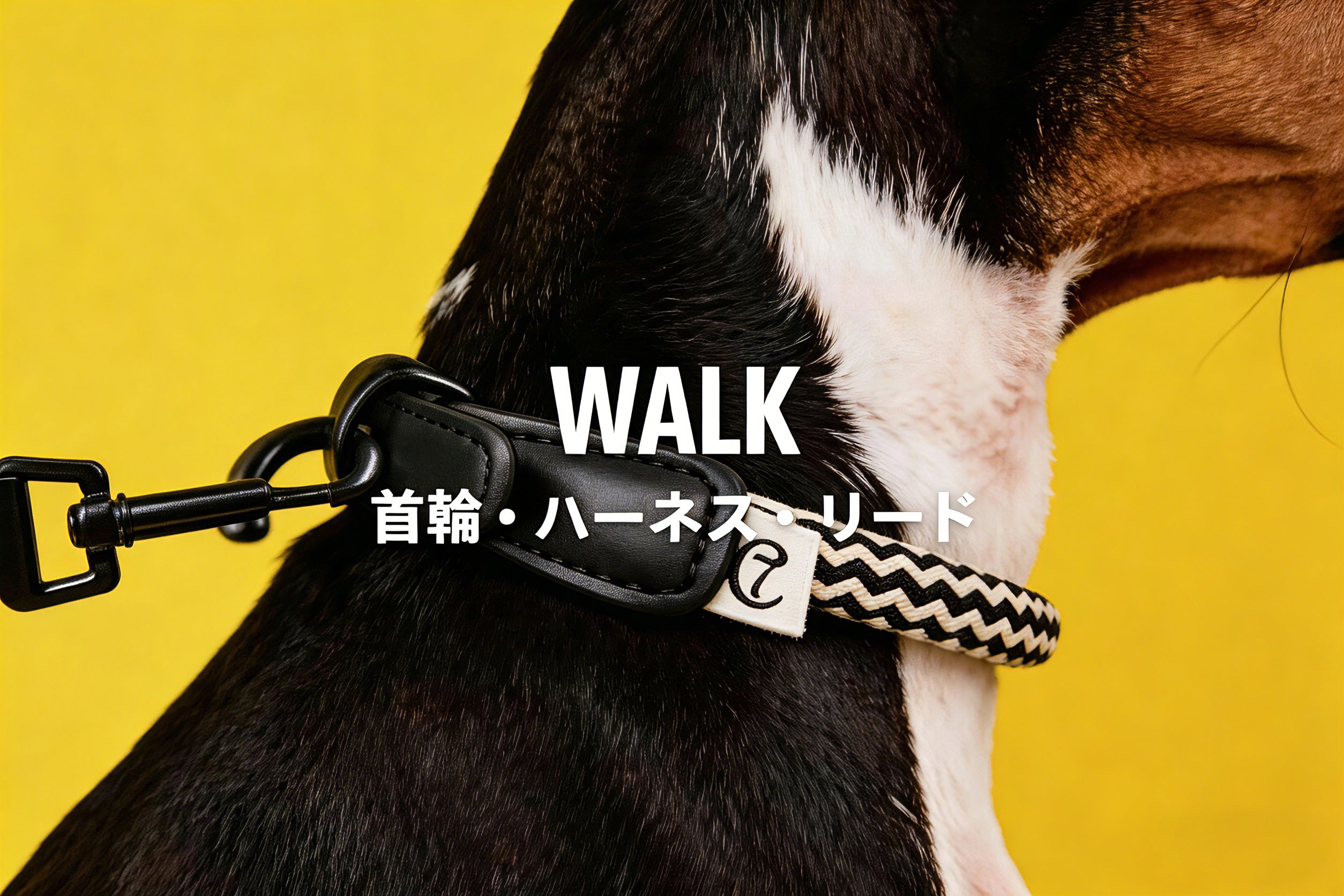 Walk