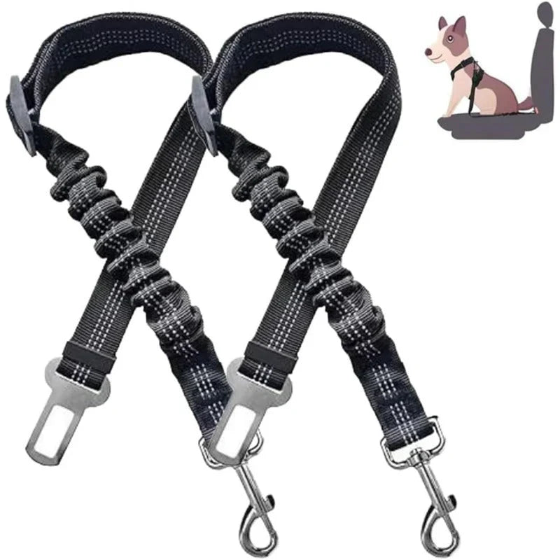 Pawsafe