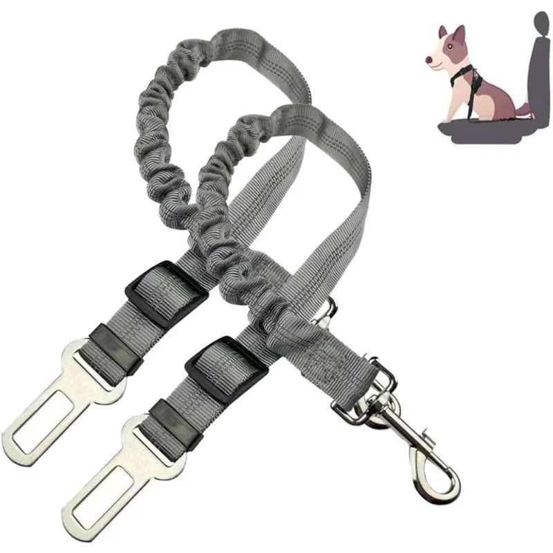 Pawsafe