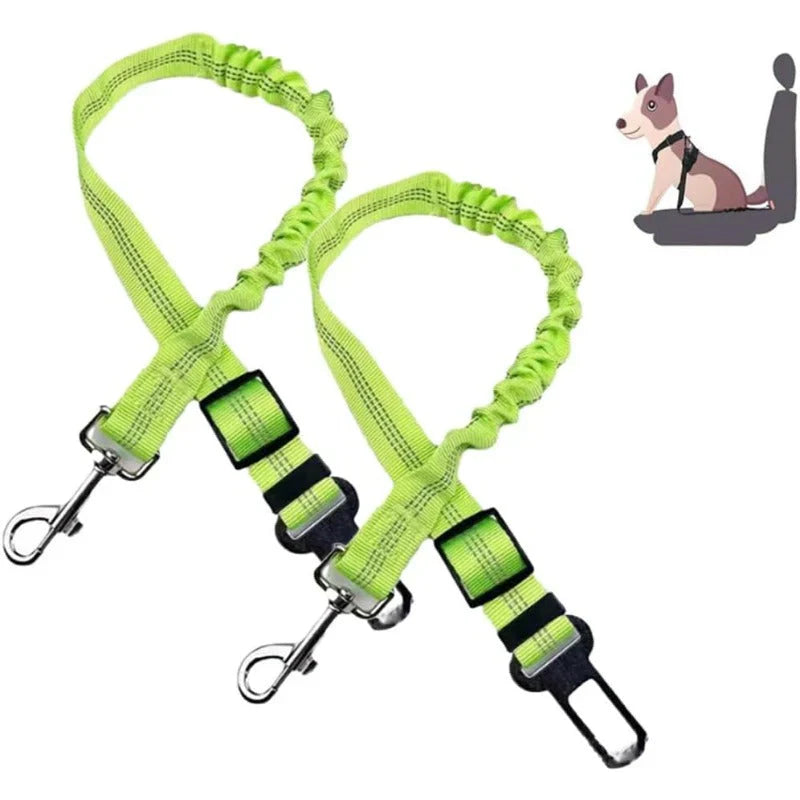 Pawsafe