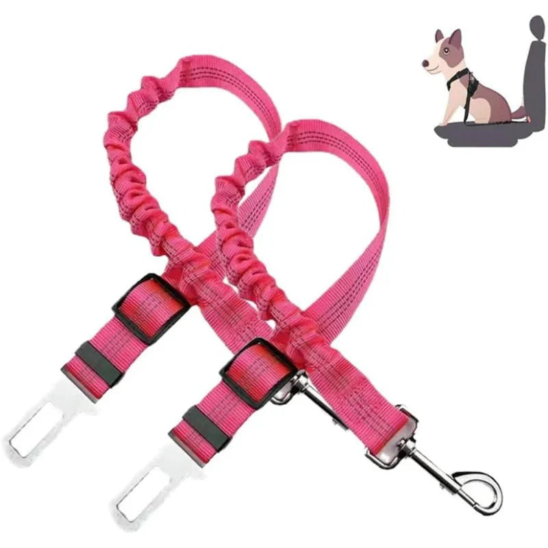Pawsafe