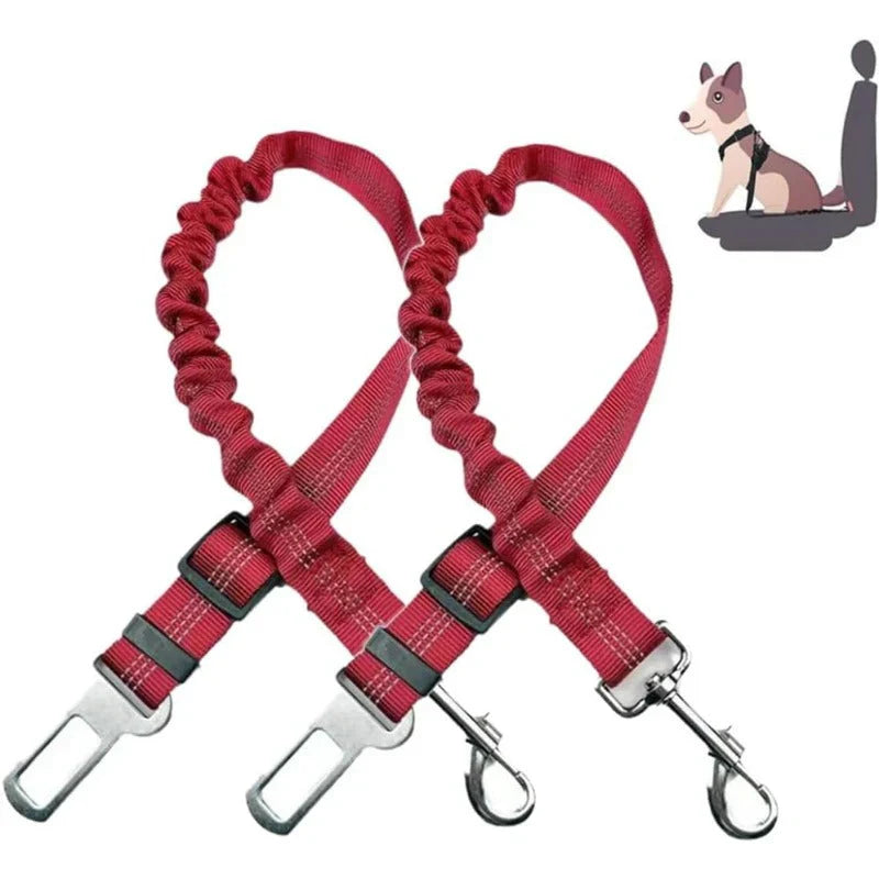 Pawsafe