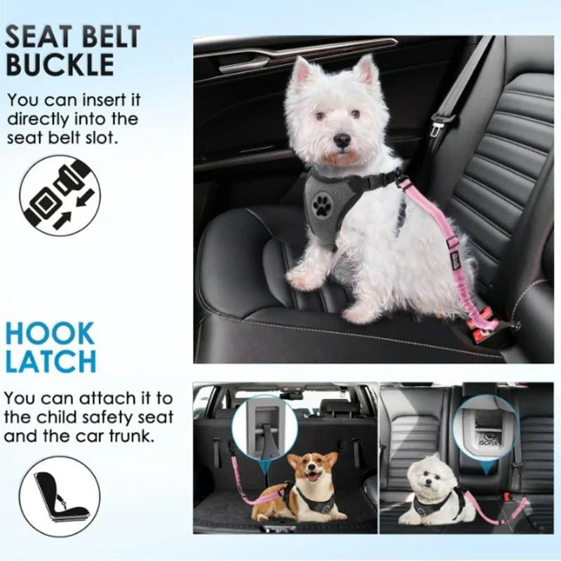 Pawsafe