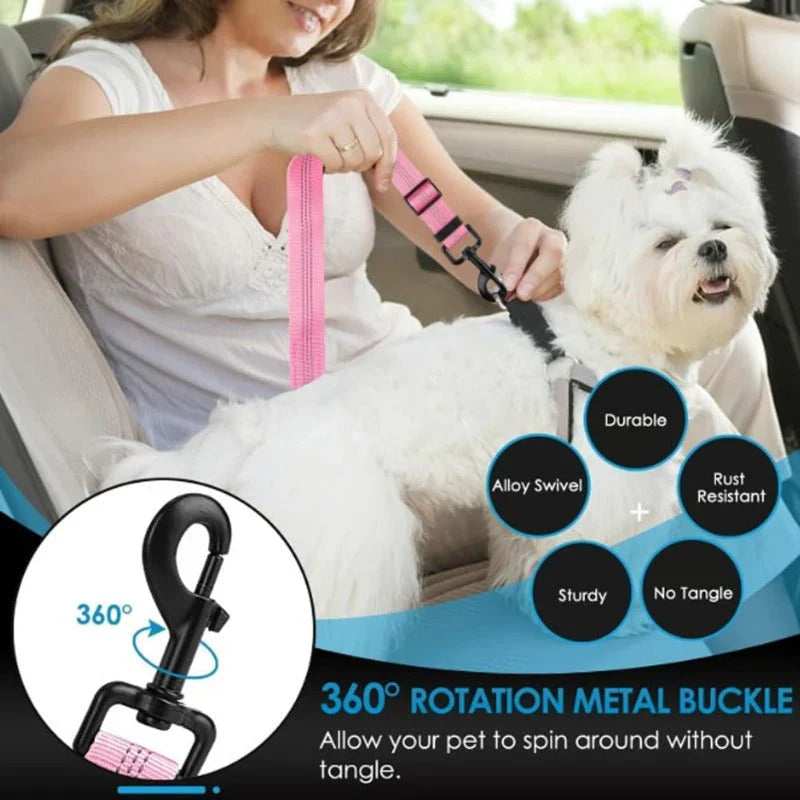 Pawsafe