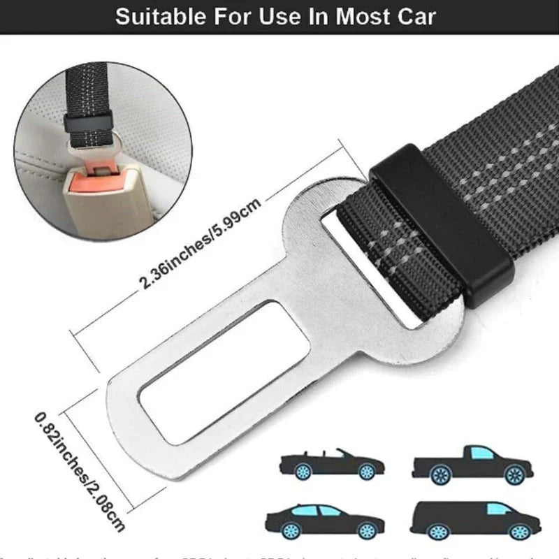 Pawsafe