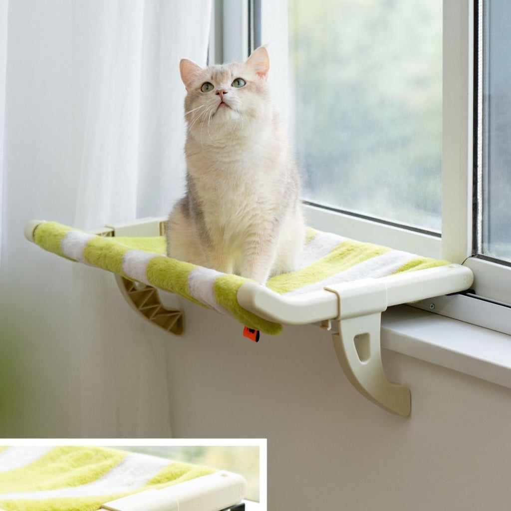 Purrloft