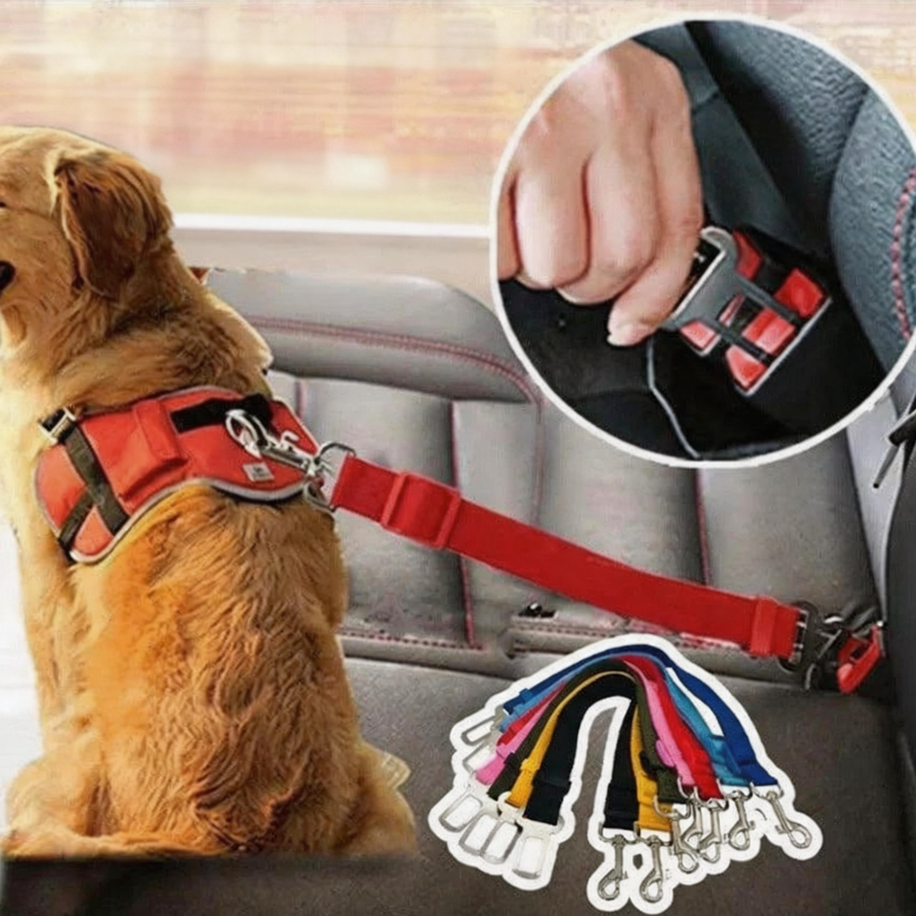 Pawsafe